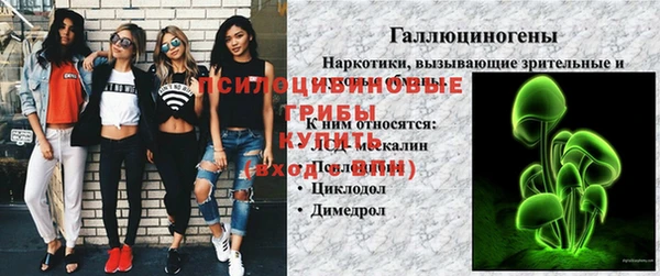 a pvp Армянск