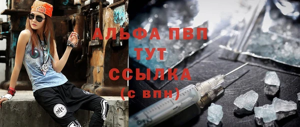 дживик Арсеньев