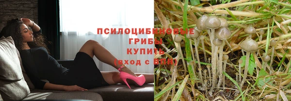 a pvp Армянск