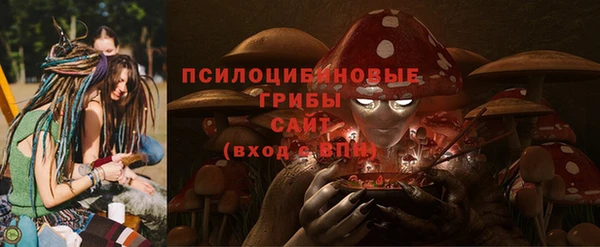 шишки Аркадак