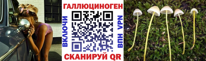 Псилоцибиновые грибы Magic Shrooms купить наркоту Серафимович